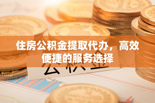 沅江住房公积金提取代办，高效便捷的服务选择