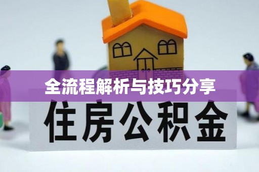 沅江全流程解析与技巧分享